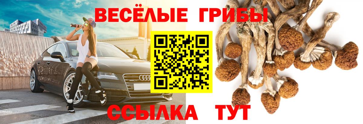 Галлюциногенные грибы мицелий Геленджик