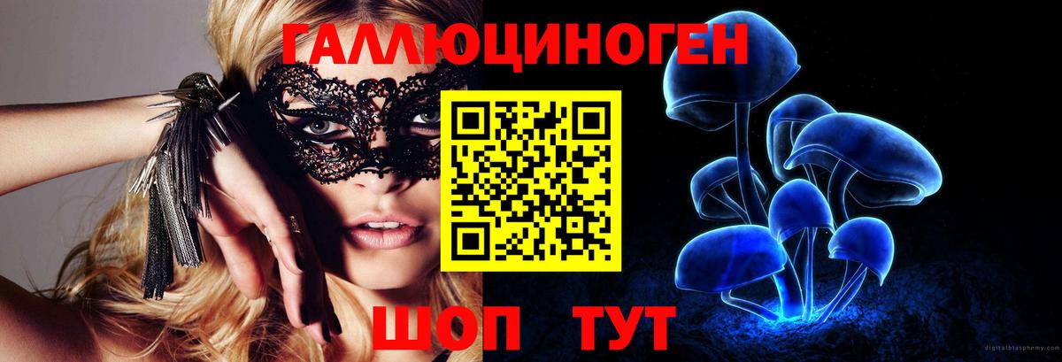Геленджик  Псилоцибиновые грибы прущие грибы  Вход с VPN 